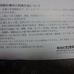 カンセキ　WILD-1　株主優待券　1枚　キャンプ用品にもの画像