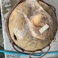 酒壺