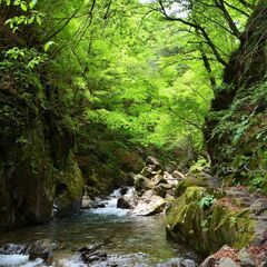 5/13-14（土日）西丹沢　檜洞丸　土曜前泊日曜登山 - 中央区
