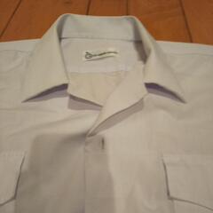 夏用男子カッターシャツの画像