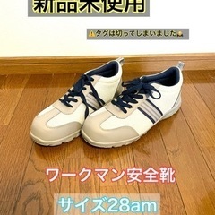 ワークマン安全靴28cm
