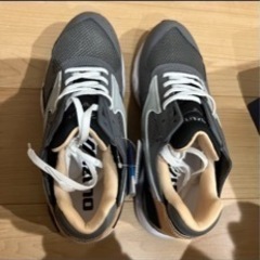 イルビゾンテ　ミズノ　限定コラボスニーカーの画像