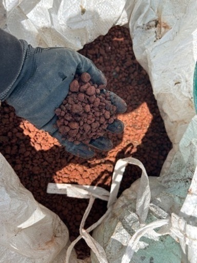 スコリア　溶岩石　赤