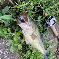 福岡でバス釣り！エギング！