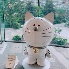 フェスや音楽イベント友募集