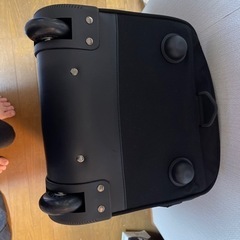 大きなスポーツバック・ショッピングカートとしても大甲橋近く7イレブンで受け渡しの画像