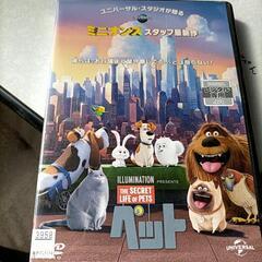 ペットDVD