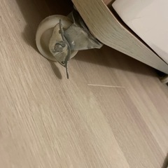 714限定！　お買い得品！！！　　　の画像