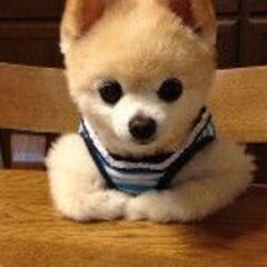 7／9 日曜日　対面人狼会やりましょう。　人狼ゲームはたのしいです。 - 中野区