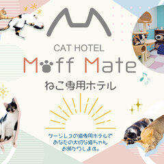 キャットホテル ＆シッター　Moff Mate（もふめいと）