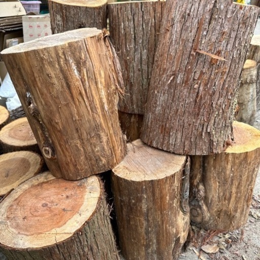 杉の丸太　50本