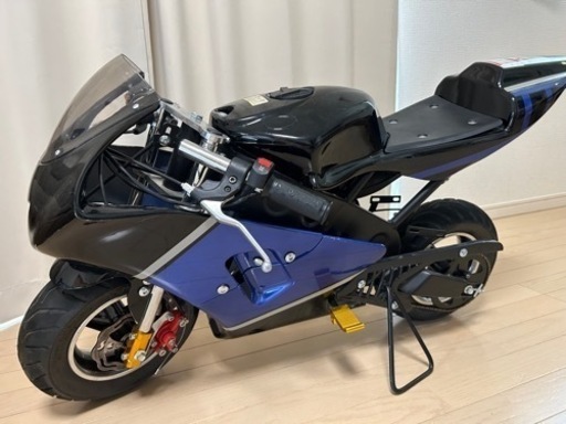 ポケバイ(決定いたしました)