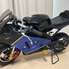 ポケバイ(決定いたしました)