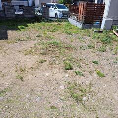 【お話中】草むしり好きな方募集