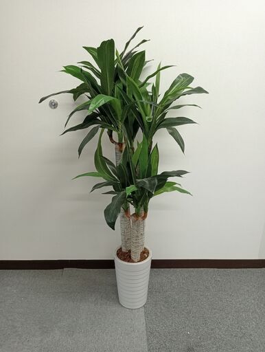 人工観葉植物  No.1　フェイクグリーン　室内用