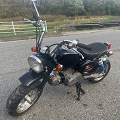 モンキー　50cc カスタム多数　絶好調の画像