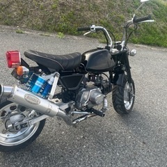 モンキー　50cc カスタム多数　絶好調の画像