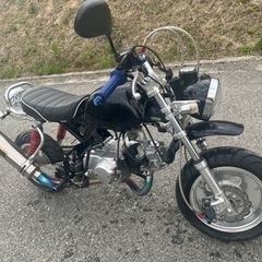 モンキー 125cc カスタム多数　絶好調