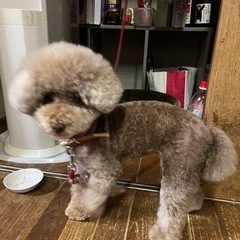 可愛がってくださる方に