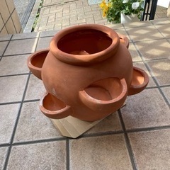 楽天市場】ストロベリーポット 大テラコッタ 素焼き 鉢苺