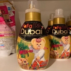 ファーファトリップドバイ　アラビアのオアシス600ml 16本