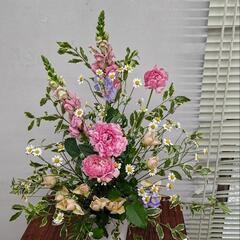 5月🍀フラワーサークルの画像