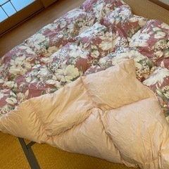 初春・秋用フェザー掛け布団0円熊本整形外科裏の画像
