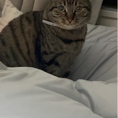 家族の事情により里親探してます