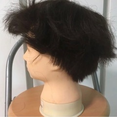 04ショートカットウィッグ(しみあり)の画像