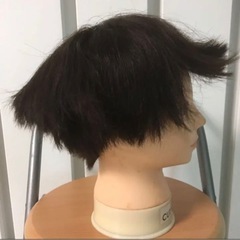 04ショートカットウィッグ(しみあり)の画像