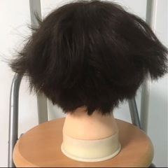 04ショートカットウィッグ(しみあり)の画像