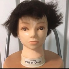 04ショートカットウィッグ(しみあり)の画像