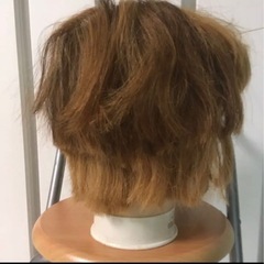 06ハイブリーチ毛練習用の画像