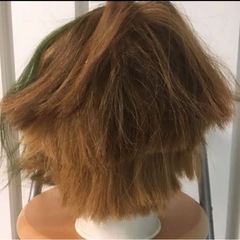 06ハイブリーチ毛練習用の画像