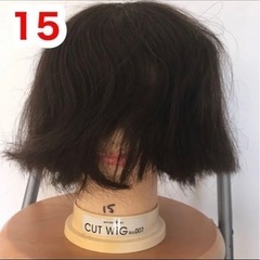 15ワンレンウィッグ