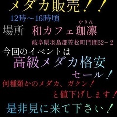 メダカ販売！ミジンコ無料！