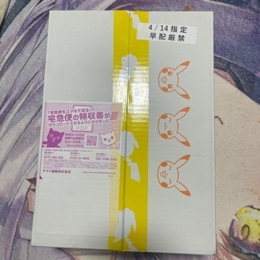 ポケモンカード　スノーハザード  クレイバースト　ジムセット　ナンジャモ