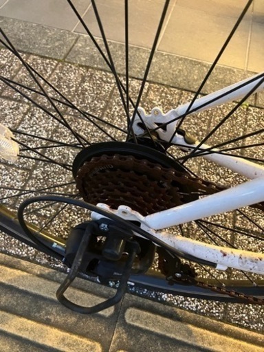 asahi / Cream Cross（クリーム クロス）CB2004
