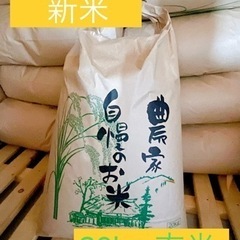 米　お米　20キロ　玄米　値引き