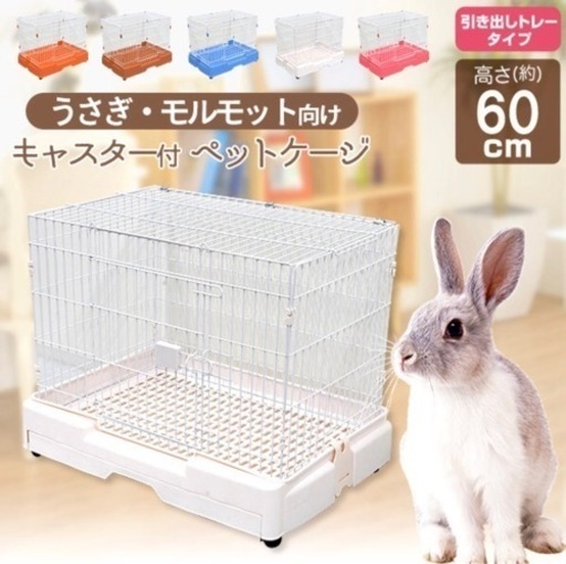 値下げ!!うさぎゲージ