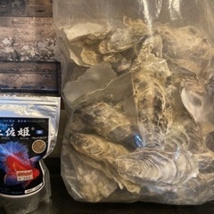 ポリプテルス　デルヘッジの画像
