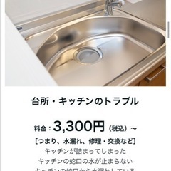 【千葉県】【詰まり・水漏れ】【出張・見積り無料】水回りの事なら水のライフレスキューに何でもお任せください！ - 生活トラブル