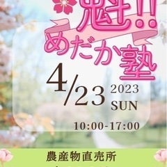 糟屋郡　なのみの里で4/23 メダカイベントに出店