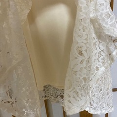 総レースマーメイドスカートの画像