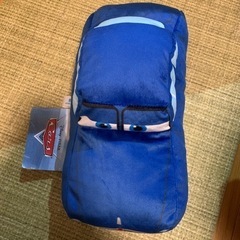 ドックハドソン ぬいぐるみ　ディズニーカーズ