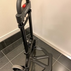 マグナカート 黒の画像