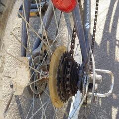自転車に、乗って元気に走りませんか?