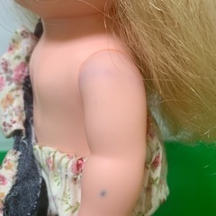 リリーちゃんの画像