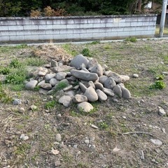 庭の土の中から出てきた石🪨の画像