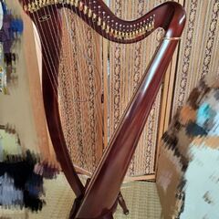 青山ハープの画像